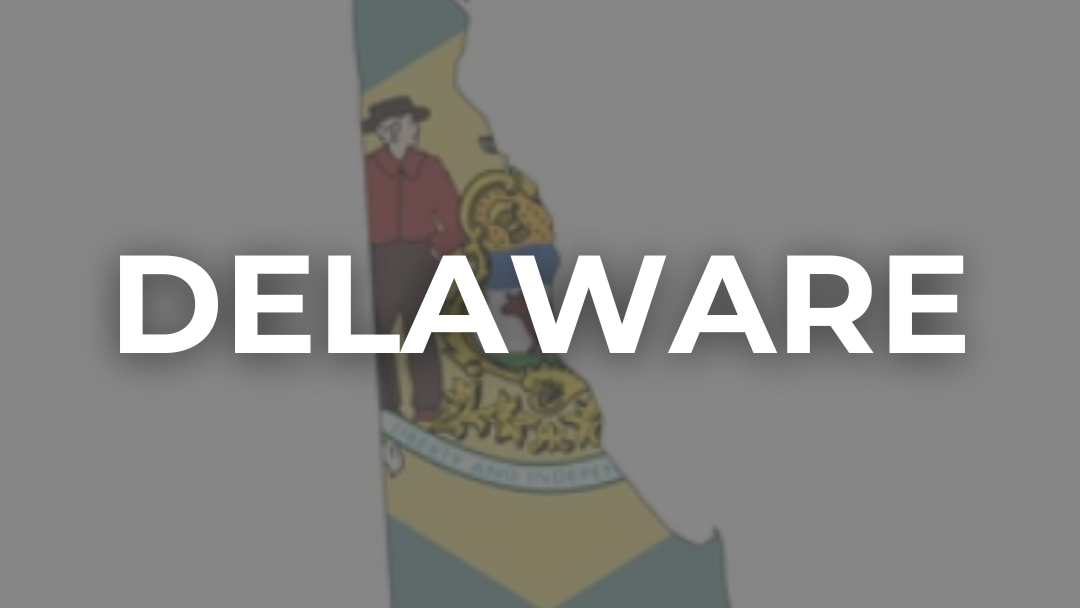 Delaware Elections
